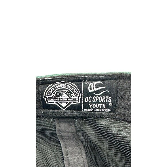 FORT WAYNE Tincaps Baseball Hat Cap Youth One Size Genuine Merchandise *SEE - Picture 6 of 7